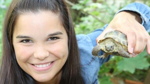 Anna und die Haustiere | Rechte: BR | Text und Bild Medienproduktion GmbH & Co.KG Schildkröte | Anna hält eine Schildkröte hoch