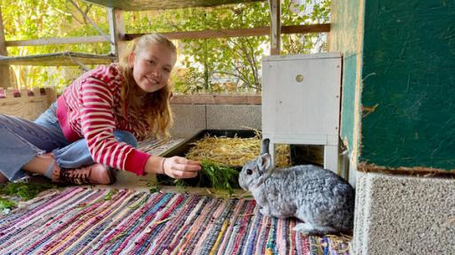 Nina und die Haustiere | Rechte: BR | Text und Bild Medienproduktion GmbH & Co. KG | Katharina Brackmann Kaninchen | Blümchen ist das scheuste Kaninchen der Gruppe. Aber mit ein bisschen Futter schafft Nina es, es anzulocken.