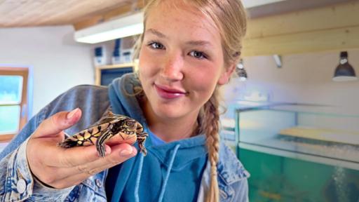 Wasserschildkröte | Nina darf ausnahmsweise Höckerschildkröte Waldemar auf die Hand nehmen. Diese Schildkrötenart hat ihren Namen von den markanten Höckern auf ihrem Panzer.