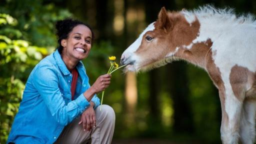 Ein Tag bei der Tierfotografin | Für ein schönes Foto lockt Pia das Fohlen „Shemrock“ mit Löwenzahn