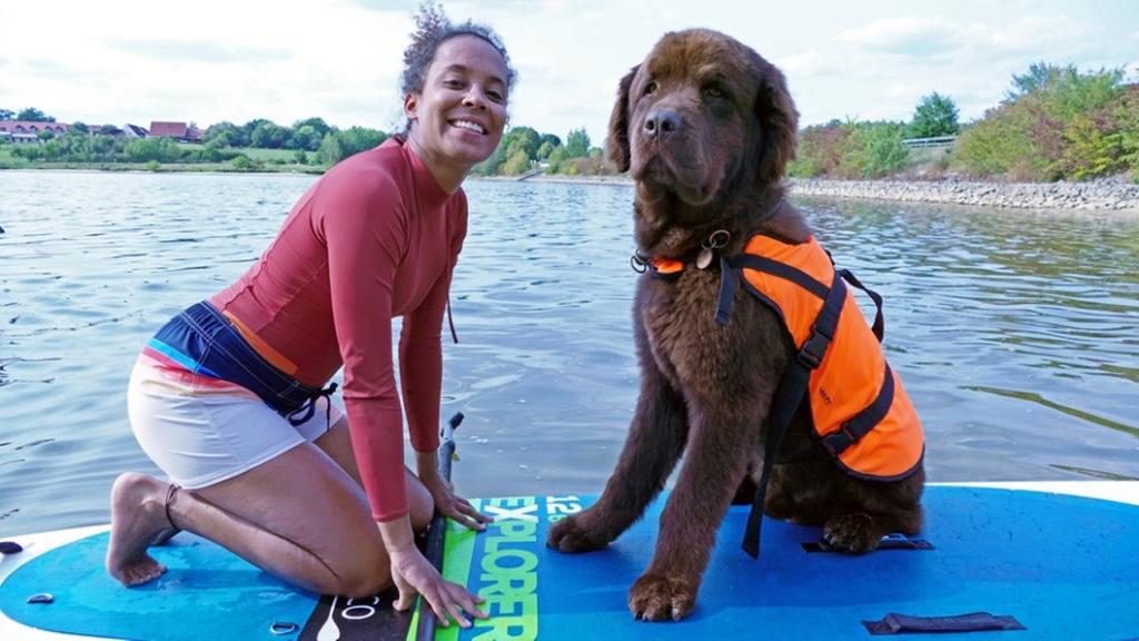 Ein Tag beim Hundeschwimmen / Neufundländer "Justus" hat zur Sicherheit eine Schwimmweste an
| Bild: BR / Text und Bild Medienproduktion GmbH & Co.KG