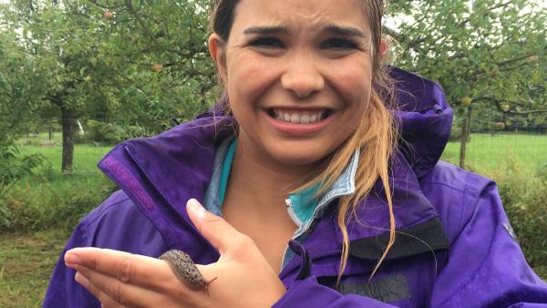 Mutprobe: Anna hält einen Tigerschnegel, eine Nacktschnecken-Art, in der Hand. Diese Schnecken sind besonders schleimig.