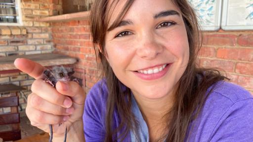 Anna und die wilden Tiere | Rechte: BR | Text und Bild Medienproduktion GmbH & Co. KG | Ben Wolter Im Wald der Buschbabys | Tierreporterin Anna mit Galago-Nachwuchs Ninja in einer Rettungsstation für Affen. Das Buschbaby-Baby wiegt gerade einmal 11 Gramm.