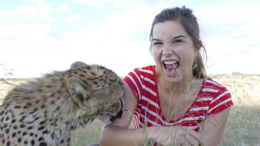 Anna und die wilden Tiere | Rechte: BR | Text und Bild Medienproduktion GmbH & Co. KG So jagd der Gepard | Anna bekommt die raue Zunge der Raubkatze zu spüren. Das fühlt sich wie Schleifpapier an. Dabei möchte der Gepard einfach nur etwas Salz abschlecken.