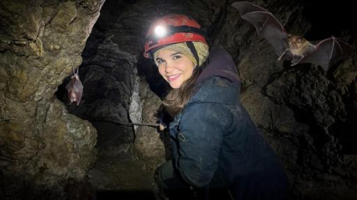 Nachwuchs bei den Großen Hufeisennasen | Anna seilt sich in einer Höhle nahe Hohenburg ab, in der die Fledermäuse "Große Hufeisennasen" wohnen.