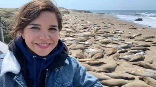 Anna und die wilden Tiere | Rechte: BR/Text und Bild Medienproduktion GmbH & Co. KG/Katja Schübl Anna besucht die See-Elefanten in Piedras Blancas, Kalifornien.
