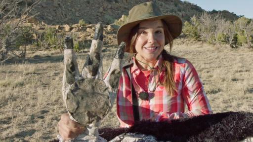 Anna und die wilden Tiere | Rechte: BR | Text und Bild Medienproduktion GmbH & Co.KG Auf den Spuren der Dinosaurier | Tierreporterin Anna unterwegs in den USA