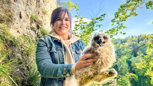 Anna und die wilden Tiere | Rechte: BR | Text und Bild Medienproduktion GmbH & Co. KG | Katharina Brackmann Juhu, Nachwuchs beim Uhu! | Einem jungen Uhu so nahe zu kommen, ist etwas ganz Besonderes. Dieses Uhuküken ist ungefähr 4 Wochen alt und damit genau im richtigen Alter um beringt zu werden.