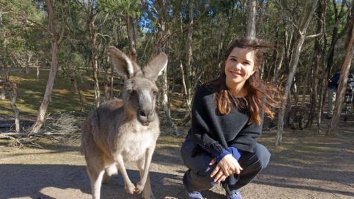 Anna und die wilden Tiere | Rechte: BR | Textundbild Medienproduktion GmbH Boxen mit dem Känguru | Anna mit Känguru auf der Insel Kangaroo Island