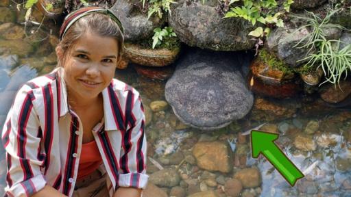 Anna und die wilden Tiere | Rechte: BR | Text und Bild Medienproduktion GmbH & Co. KG Der glitschige Riesensalamander