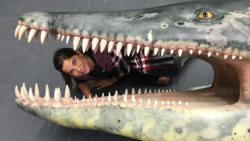 Anna und die wilden Tiere | Rechte: br/text und bild Die gigantischen Meeressaurier