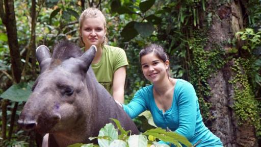 Ein Tapir geht baden | Anna und Kathi kraulen Tapir Carneval.