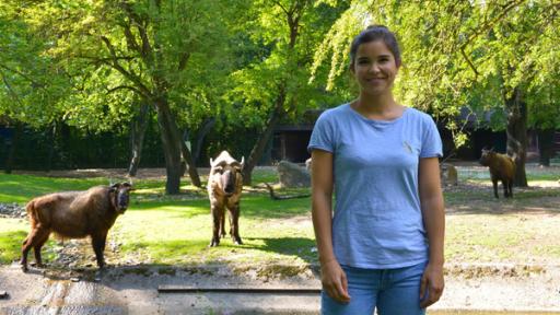Anna und die wilden Tiere | Rechte: BR / Text und Bild Hier stinkt's nach Takin!