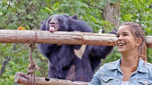 Anna und die wilden Tiere | Rechte: br / text und bild Honig für den Kragenbären | Anna besucht eine Rettungsstation für Kragenbären