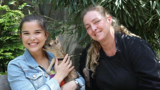 Anna und die wilden Tiere | Rechte: BR | Text und Bild Medienproduktion GmbH & Co. KG Ist das Reh die Frau vom Hirsch? | Im österreichischen Graz hilft Anna Monika, die sich um verwaiste Rehkitze kümmert. Sie ist erstaunt, wie kuschelig sich so ein kleines Kitz anfühlt.