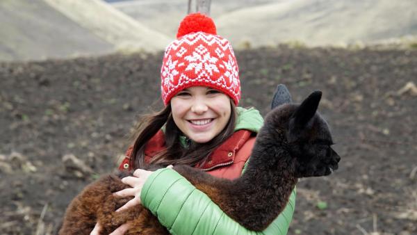 Lama und Alpaka - Die Meisterspucker | So ein Alpaka fühlt sich kuschelig weich an! | Bild: BR | Text und Bild Medienproduktion