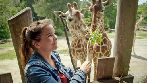 Anna und die wilden Tiere | Rechte: BR | Text und Bild Medienproduktion GmbH & Co.KG | David Enge Tierfreundschaften | Anna füttert die beiden Giraffenfreundinnen Taziyah und Makena. Bei den Giraffen gibt es tatsächlich echte Freundschaften unter Weibchen.