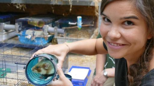 Anna und die wilden Tiere | Rechte: BR | Text und Bild Medienproduktion GmbH & Co.KG Wenn ein Feldhamster umziehen muss | Die Feldhamster in der Aufzuchtstation im Zoo Heidelberg sind an diese bunten Röhren gewöhnt. Damit kann man sie umsetzen, ohne sie anzufassen.