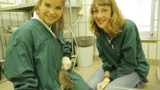 Anna und die wilden Tiere | Rechte: BR | Text und Bild Medienproduktion GmbH & Co. KG Wer lässt die Maus raus? | Anna hilft der Biologin Annika bei einem Experiment mit Mäusen.