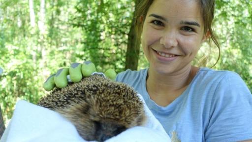 Anna und die wilden Tiere | Rechte: BR / Text und Bild Medienproduktion GmbH & Co.KG Wer lebt im Garten? / Anna und Igel Max
