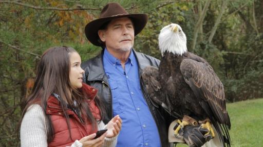 Anna und die wilden Tiere | Rechte: BR | Text und Bild Medienproduktion GmbH & Co. KG Wie der Seeadler fliegt | Anna besucht Al in seinem Adlerzentrum. Er züchtet die Greifvögel und pflegt verletzte Adler wieder gesund.