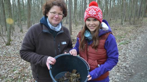 Anna und die wilden Tiere | Rechte: BR | Text und Bild Medienproduktion GmbH & Co. KG Wie viel Kröte steckt im Frosch? | Einen halben Eimer voller Erdkröten haben Anna und Naturschützerin Sonja eingesammelt. Sie bringen die Tiere sicher über die Straße zu deren Laichgewässer. Jedes Jahr werden unzählige Amphibien auf ihren Wanderungen überfahren.