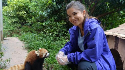 Anna und die wilden Tiere | Rechte: dpabildfunk Wo versteckt sich der Rote Panda?