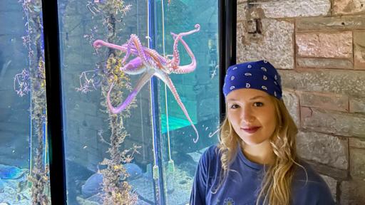 Nina und die wilden Tiere | Rechte: BR | Text und Bild Medienproduktion GmbH & Co. KG | Marcella Müller Unterwasserkino für den Oktopus | Im Aquarium der kroatischen Hafenstadt Pula schaut sich Nina Oktopusse aus der Nähe an.