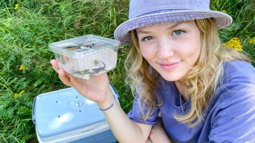 Ein Paradies für Zauneidechsen | Rechte: BR | Text und Bild Medienproduktion GmbH & Co. KG | Marcella Müller Ein Paradies für Zauneidechsen | In Schleswig-Holstein darf Nina helfen, kleine Zauneidechsen auszuwildern.
