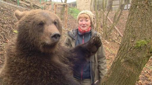 Paula und die wilden Tiere | Rechte: BR | Text und Bild Medienproduktion GmbH & Co. KG Bärengeschwister: Bärenabschied (05)