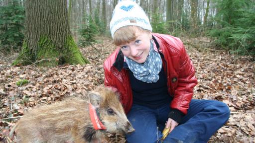 Ein Wildschwein zum Knuddeln | Paula und das Wildschweinferkel Chantalle
