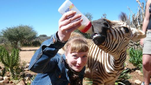 Paula und die wilden Tiere | Rechte: BR | Text und Bild Medienproduktion GmbH & Co. KG | Christiane Streckfuß Eine Herde für Zebra Benny / Paula füttert das Zebra.