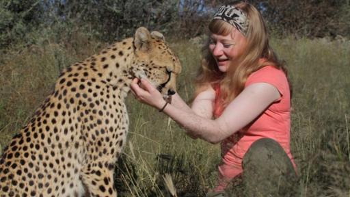 Paula und die wilden Tiere | Rechte: BR | Text und Bild Medienproduktion GmbH & Co. KG Wie schnell rennt ein Gepard? | Paula krault Gepard