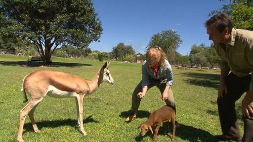 Paula und die wilden Tiere | Rechte: BR | Text und Bild Medienproduktion GmbH & Co. KG Hopp, hopp, hopp - Springbock! | Paula mit einem Springbock