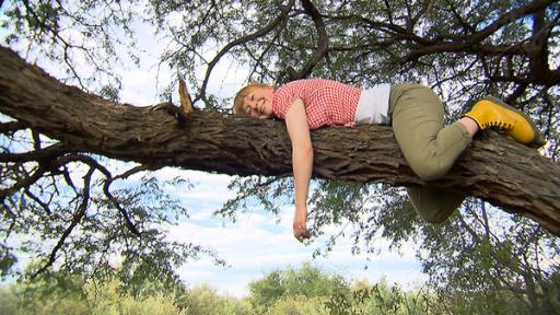 Paula und die wilden Tiere | Rechte: BR | Text und Bild Medienproduktion GmbH & Co. KG Was macht der Leopard im Baum? | Paula will mal ausprobieren wie es sich im Bett eines Leoparden liegt...