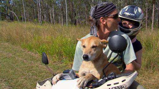 Paula und die wilden Tiere | Rechte: BR | Text und Bild Medienproduktion GmbH & Co. KG Wer ist der oberste Dingo? | Paula und Dingo auf Motorrad