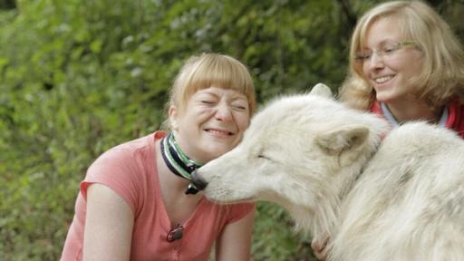 Paula und die wilden Tiere | Rechte: BR | Text und Bild Medienproduktion GmbH & Co. KG Wie böse ist der Wolf?| Paula schmust mit Wolf