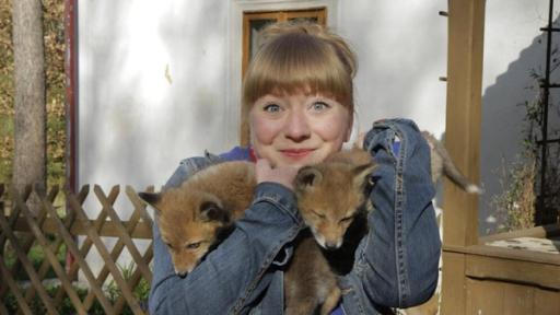 Wie schlau ist der Fuchs? | Paula und zwei junge Füchse