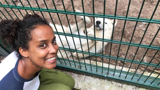 Pia und die wilden Tiere | Rechte: BR | Text und Bild Medienproduktion GmbH & Co. KG | Kathrin Gutzeit Die mit dem Wolf heult | Pia besucht die Arktische Jungwölfin Luna im Wolfcenter Dörveden.