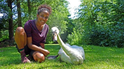 Pia und die wilden Tiere | Rechte: BR 7 textundbild medienproduktion gmbh Mit dem Kahn zum Alsterschwan | Pia und der Schwan