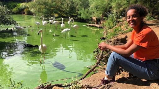 Wie rosa ist der Flamingo? | Pia erfährt Spannendes über die Flamingos in einem Vogelschutzgebiet.