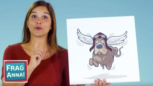 Frag Anna! | Rechte: BR | Text und Bild Medienproduktion GmbH & Co. KG Blindschleiche, Flughund, Tierarten
