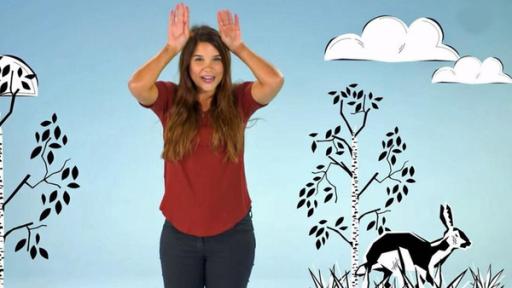 Frag Anna! | Rechte: BR | Text und Bild Medienproduktion GmbH & Co. KG Klippschliefer, Vogelspinne, Hase und Kaninchen | Anna erklärt den Unterschied zwischen Hase und Kaninchen.