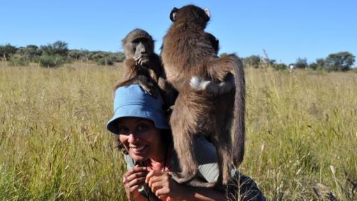 Pia und die wilde Natur | Rechte: BR | Text und Bild Medienproduktion GmbH & Co. KG Das Zaubergras der Savanne | Pia spielt mit den Pavianen einer Wildtierstation in Namibia. Auch die ernähren sich hier vom Zaubergras der Savanne.