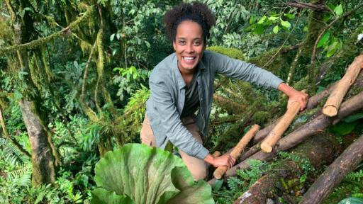 Pia und die wilde Natur | Rechte: BR | Text und Bild Medienproduktion GmbH & Co. KG | Katja Schübl Im Nebelwald der Gorillas | Tief im Bergregenwald - ob Pia den seltenen Berggorillas begegnet?