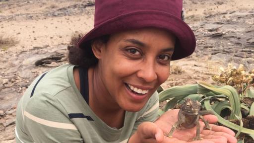 Pia und die wilde Natur | Rechte: BR | Text und Bild Medienproduktion GmbH & Co. KG In der Namib-Wüste entdeckt Pia ein Namaqua-Chamäleon. Sie kann sogar beobachten, wie es mir seiner extralangen Zunge einen Wüstenkäfer fängt.