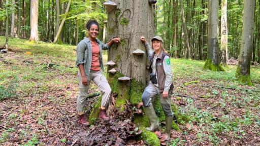 Pia und die wilde Natur | Rechte: BR | Text und Bild Medienproduktion GmbH & Co. KG | Gerrit Mannes Was versteckt sich im Buchenwald? | Pia und Nationalpark-Rangerin Sandra vor einer alten Buche mit Zunderschwämmen. (Sandra Wendt).