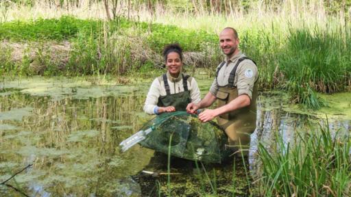Pia und die wilde Natur | Rechte: BR | Text und Bild Medienproduktion GmbH & Co. KG | Sabrina Nitschke Auf Schatzsuche im Spreewald | Für Pia und Ranger Alex geht es ins Wasser. Sie sind auf Amphibien-Suche und kontrollieren Reusen, die zum Monitoring verwendet werden.