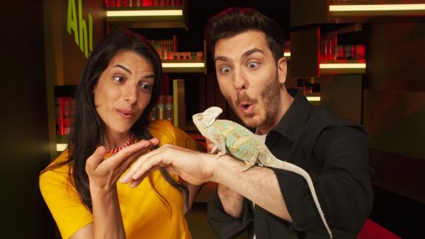 „Wissen macht Ah!“ (WDR) ist das schräge Wissensmagazin im deutschen Fernsehen – nicht nur für Kinder. Wo andere nicht mal auf die Frage kommen, hat das „Ah!“-Team schon die richtige Antwort parat. Passende Experimente verraten die Moderator*innen Clarissa Corrêa da Silva und Tarkan Bagci gleich dazu.