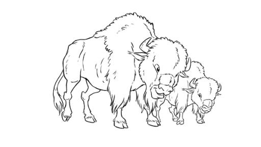 Bisons in der Prärie | Rechte: Derib+Job/Le Lombard/Ellipsanime Productions/Belvision/ARD & WDR/Dargaud Media/2 Minutes Ausmalbild von Bisons in der Prärie